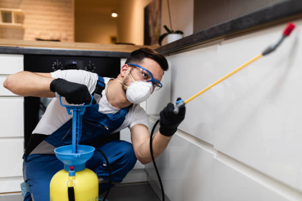 Best Residential Pest Control  in Islip Terrace, NY