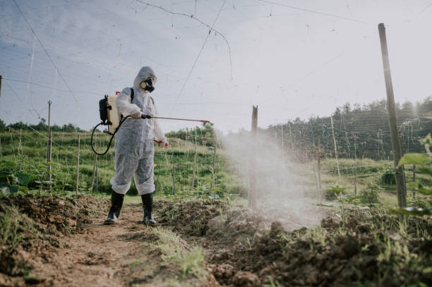 Best Best Pest Control Companies  in Islip Terrace, NY