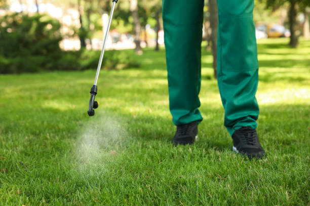 Best Commercial Pest Control Services  in Islip Terrace, NY