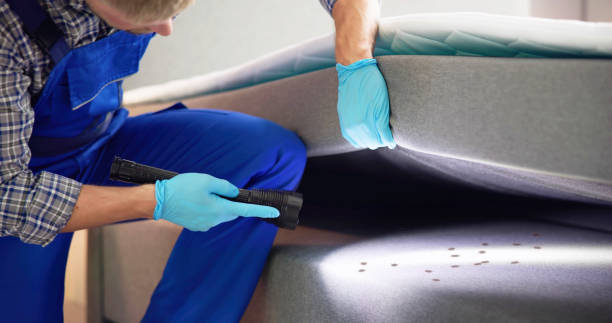 Best Commercial Pest Control Services  in Islip Terrace, NY