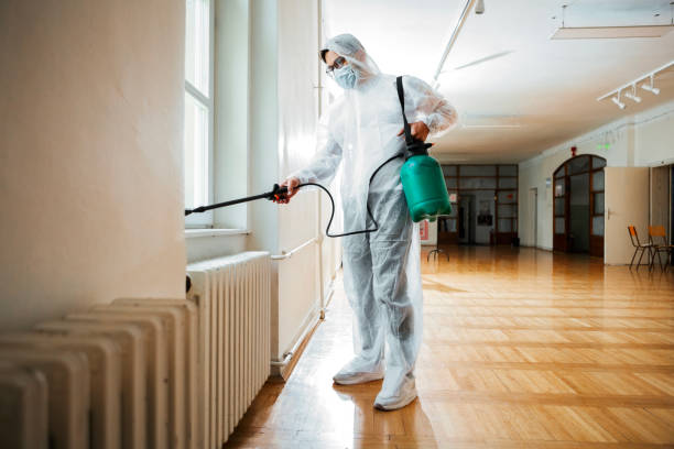 Best Termite Control Services  in Islip Terrace, NY