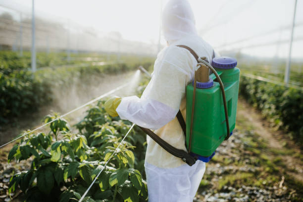 Reliable Islip Terrace, NY Pest Control Solutions